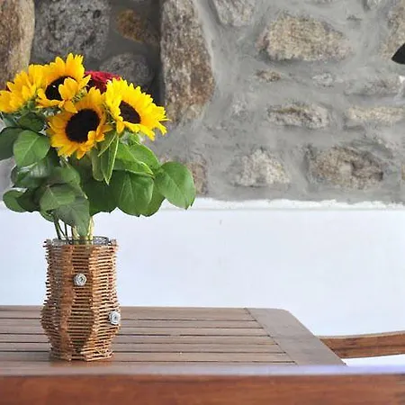 Alexandros Mykonos Lejlighedshotel