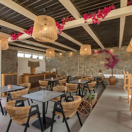 Alexandros Mykonos Lägenhetshotell 4*