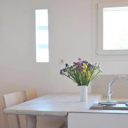 Lägenhetshotell Alexandros Mykonos 4*